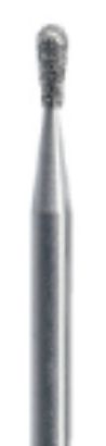 Picture for category FG238 Pear