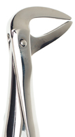 Picture of UK Pattern Forceps No. 74 (Lower roots)