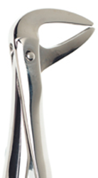 Picture of UK Pattern Forceps No. 74 (Lower roots)