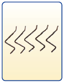 Picture of 8101029 - Curved Incisiv Pins (5)