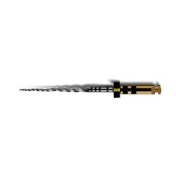 Picture of ProTaper Next X4 File 25mm Apex 040 Taper 06 (3/pk)