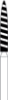 TL250016BC6C1B84.jpg