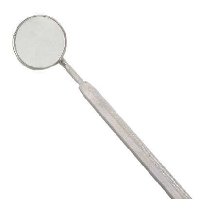 pp01mirror.jpg