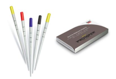 Dentsply Protaper Gold NITI Rotary Files 21mm F2 Red 6pcs